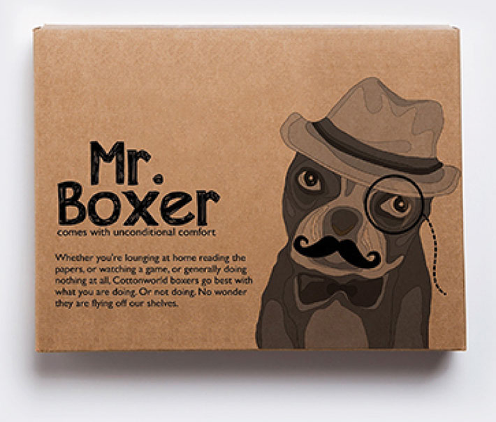 Mr Boxer